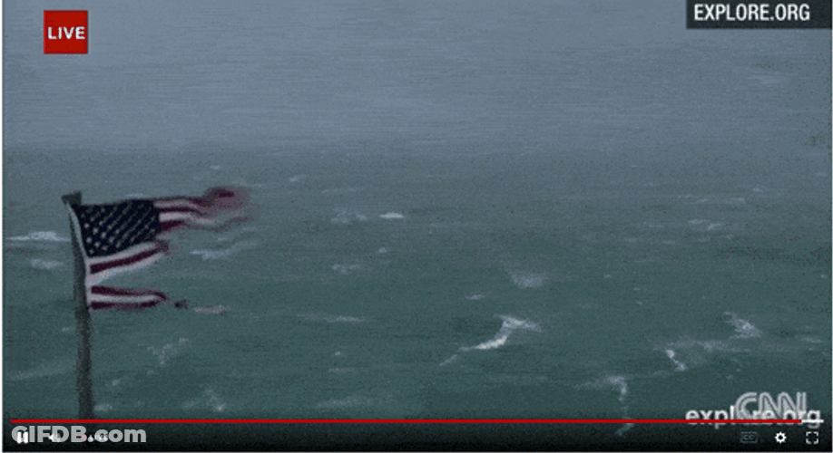 You Call This A Signal Number One Storm GIF
