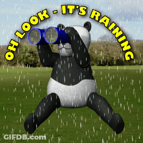 You Call This A Storm It's Just Rain GIF