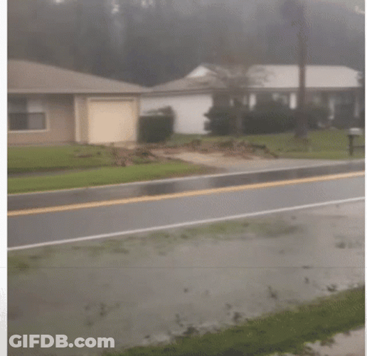 You Call This A Storm Man GIF