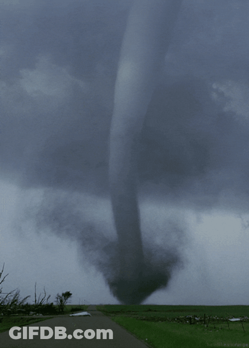 You Call This A Storm That's Hurricane GIF