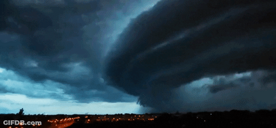 You Call This A Tornado Storm GIF