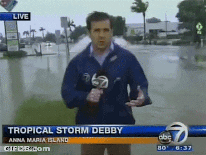 You Call This A Tropical Storm Debby GIF