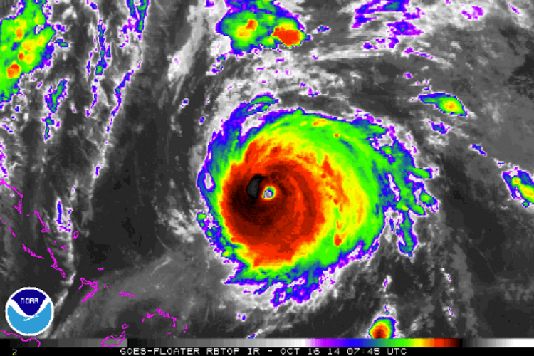 You Call This An Eye Storm GIF