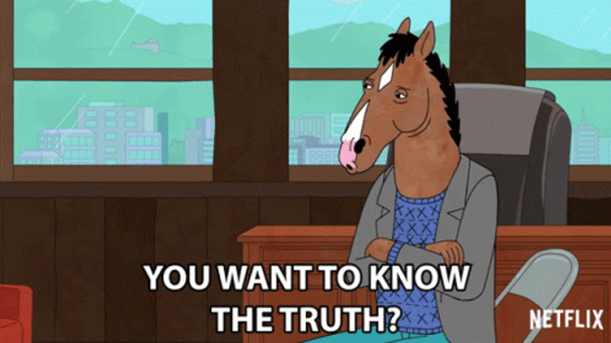You Can't Handle The Truth BoJack Horseman GIF