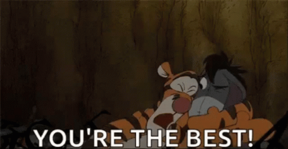 You Da Best Tiger Eeyore Hug GIF