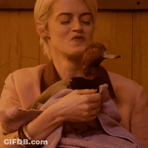 You Did It Congratulations On Your New Job GIF