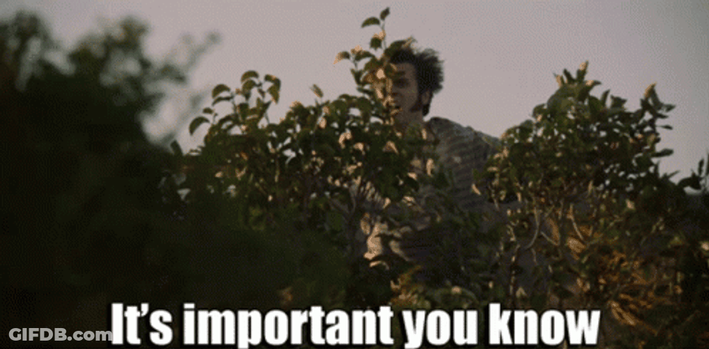 You Didn't See Anything Comedy Central GIF