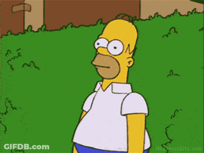 You Didn't See Anything Homer Simpson GIF