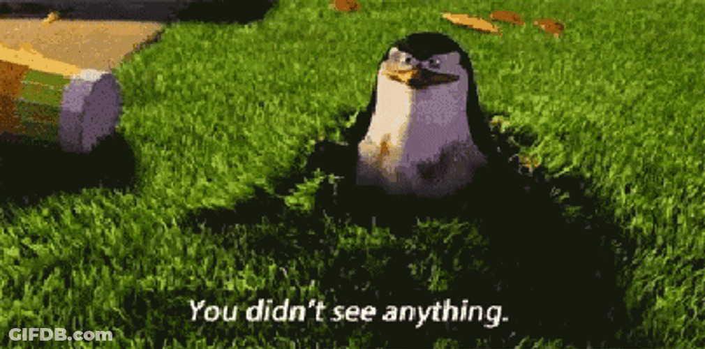 You Didn't See Anything Madagascar Skipper GIF