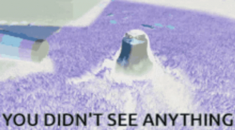 You Didn't See Anything Pigeon GIF