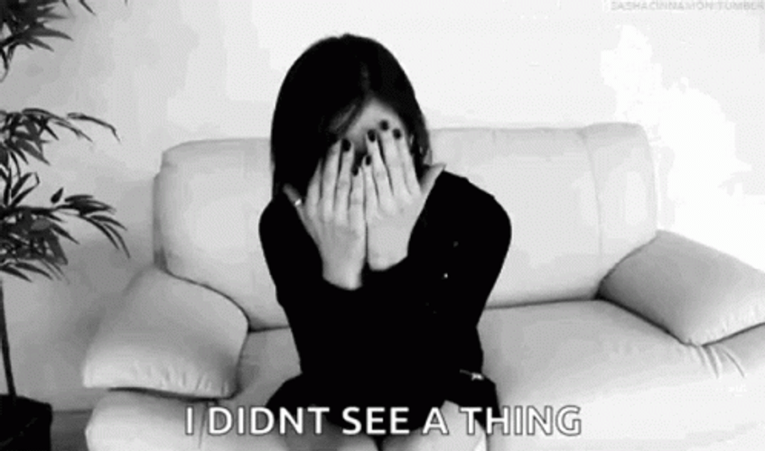 You Didn't See Anything Shasa Grey GIF
