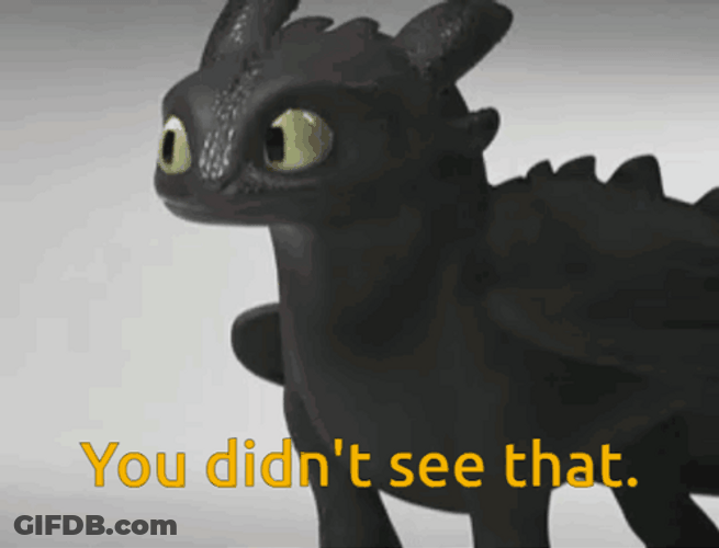 You Didn't See That Toothless Meme GIF