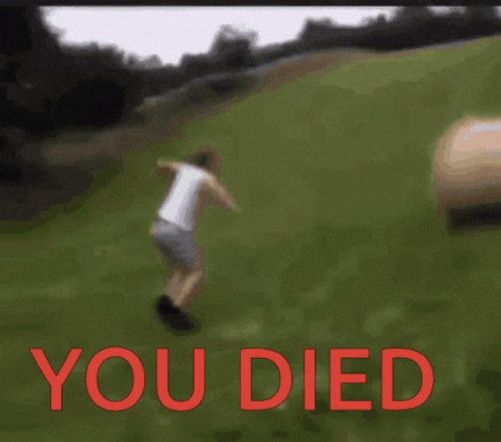 You Died Rolling Hay Off Cliff GIF