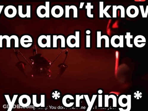 You Dont Know Me I Hate You Crying GIF