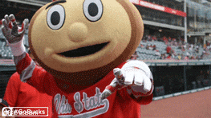 You Go Man Buckeyes GIF