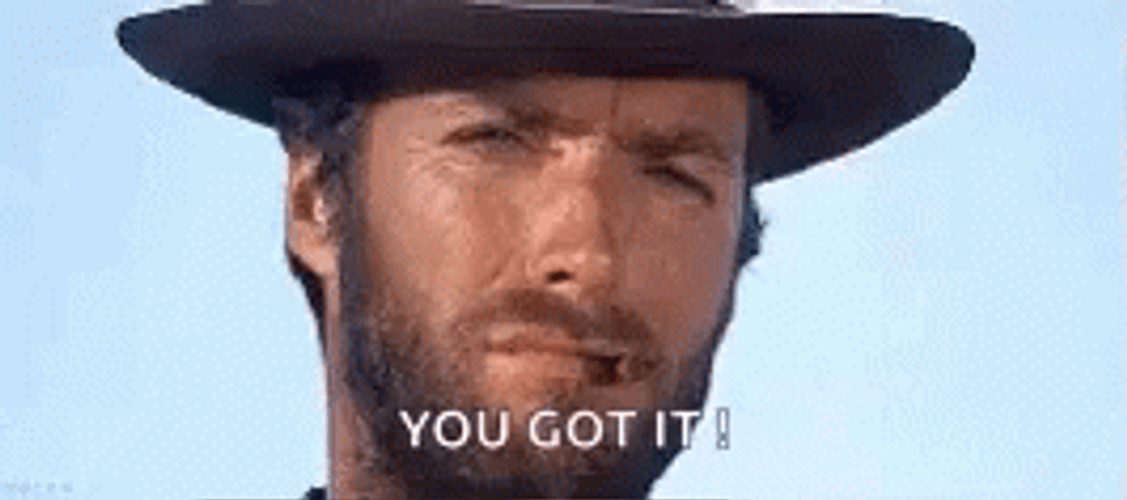 You Got It Agree Cowboy GIF