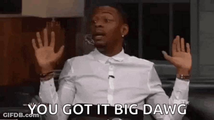 You Got It Big Dawg GIF