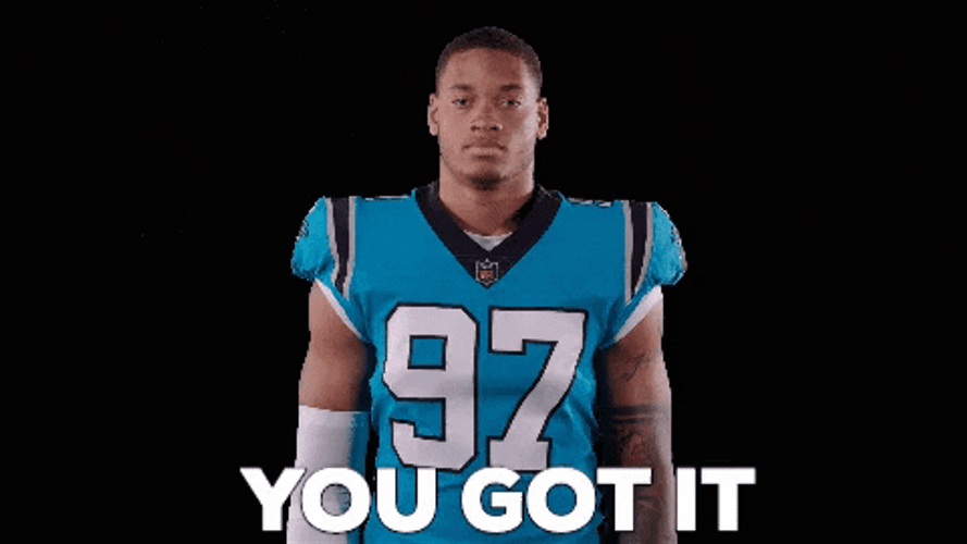 You Got It Carolina Panthers GIF
