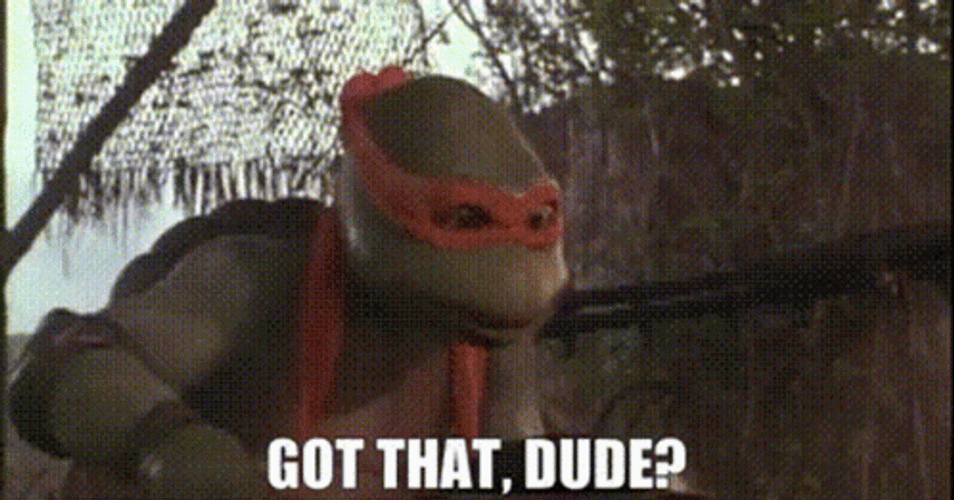 You Got It Dude Michaelangelo GIF