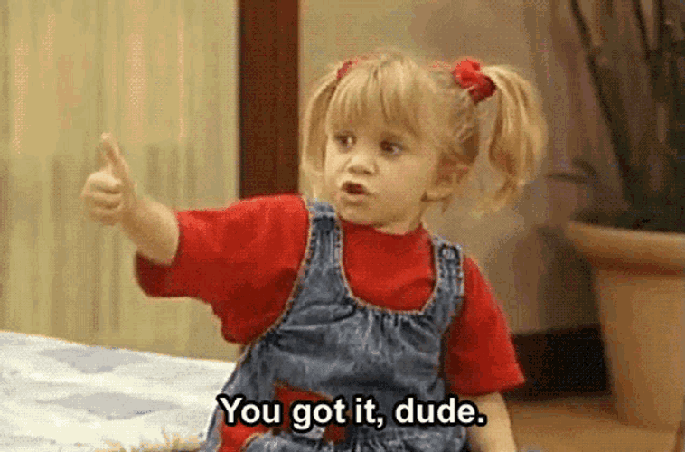 You Got It Dude Ok GIF