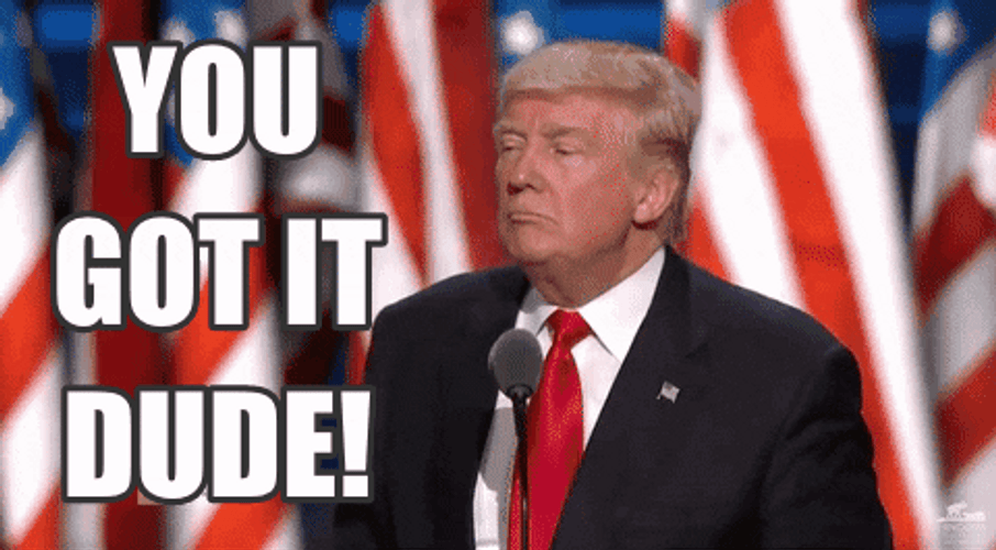 You Got It Dude Trump GIF