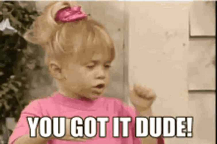 You Got It Dude Understood GIF