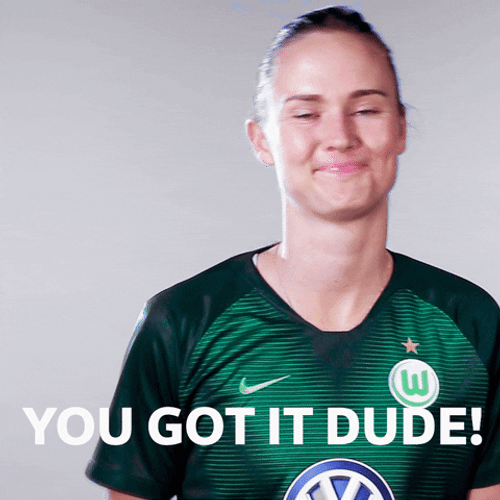 You Got It Dude VFL Wolfsburg GIF