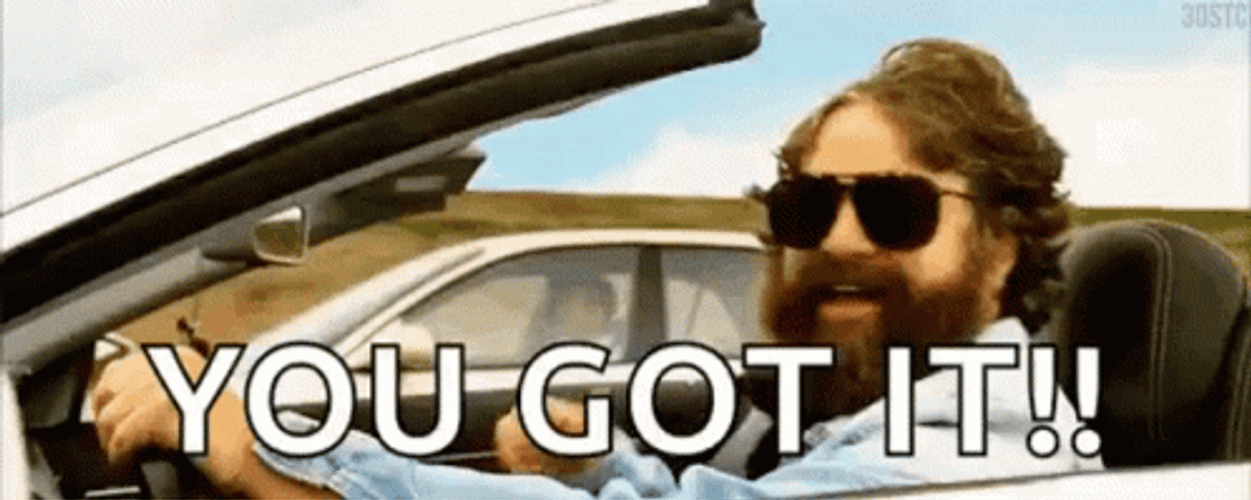You Got It Zach Galifianakis GIF