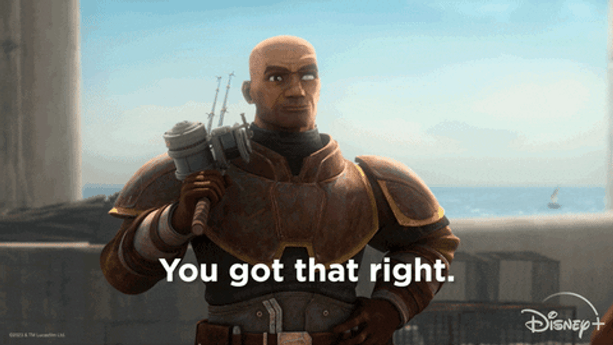 You Got That Right Star Wars Animation GIF