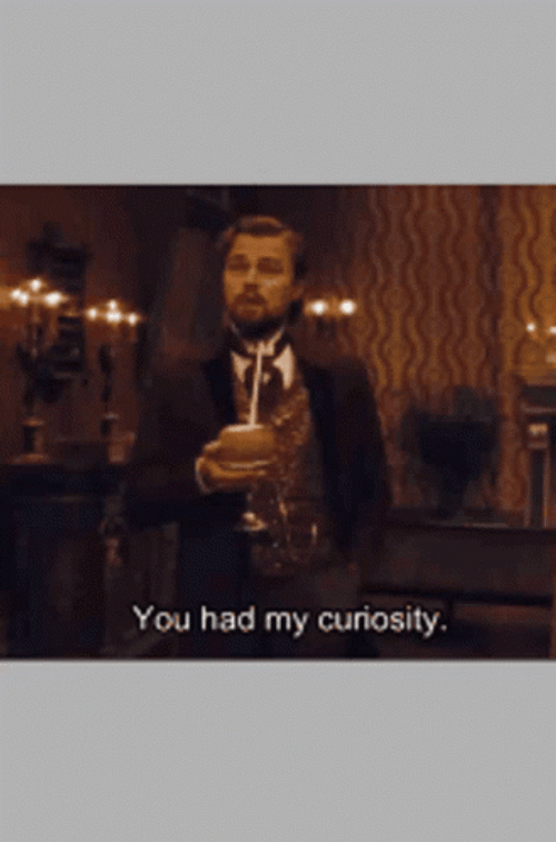 You Had My Curiosity Boomerang GIF