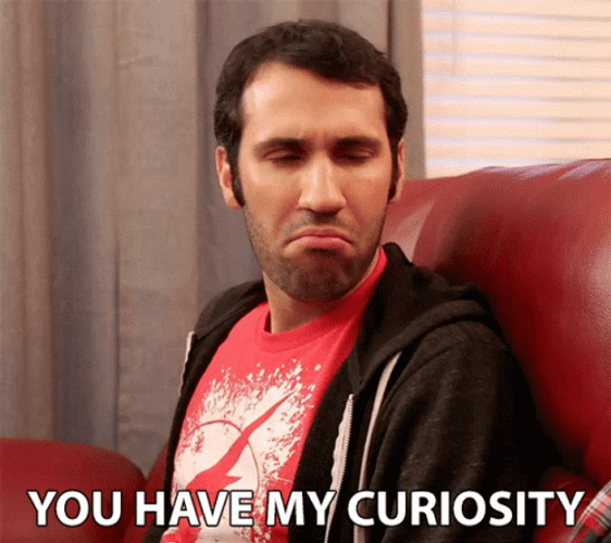 You Had My Curiosity Stare GIF