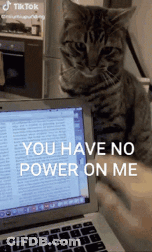 You Have No Power Here GIF