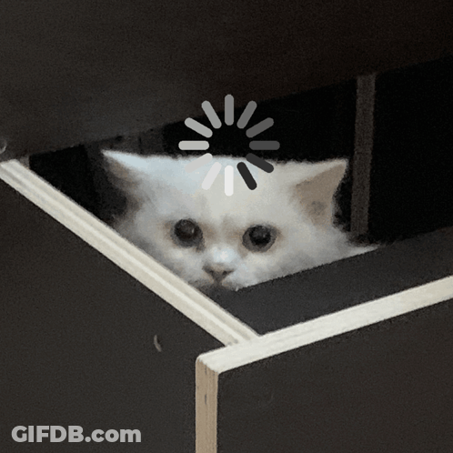 You Have Successfully Wasted 10 Seconds GIF
