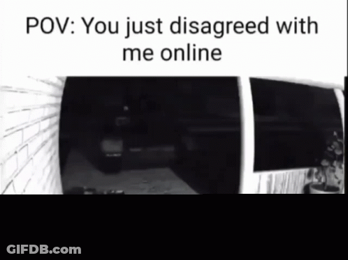 You Just Disagreed With Me Online GIF