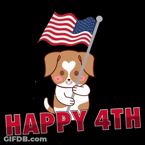 You Look Like The 4Th Of July Cartoon Dog GIF