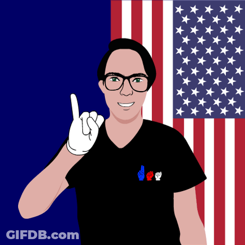 You Look Like The 4Th Of July Sign Language GIF