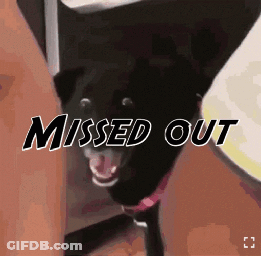 You Missed Out Black Dog GIF
