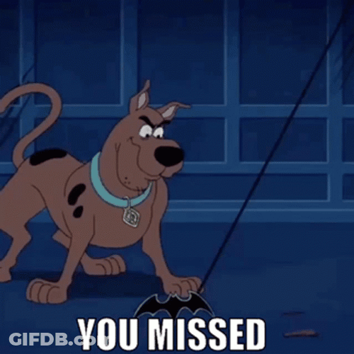 You Missed Scooby Doo GIF