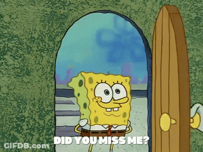 You Missed SpongeBob GIF