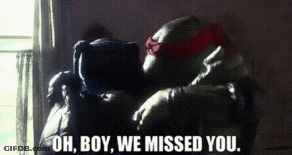 You Missed Turtle Friends GIF