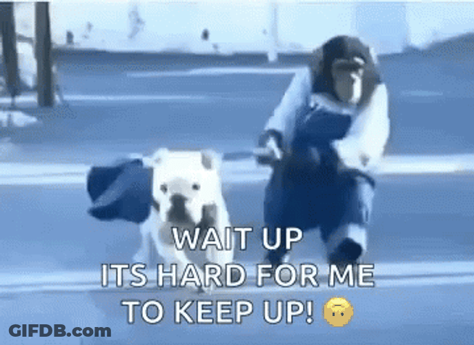 You Moving Too Much Big Dawg GIF
