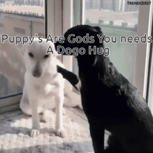 You Need Puppies Dogs Hugging GIF