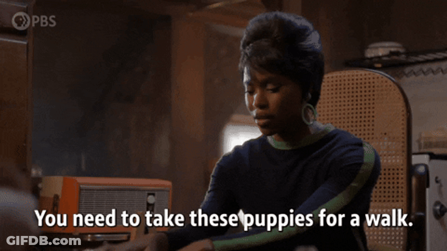 You Need To Take These Puppies For A Walk GIF