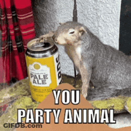 You Party Animal Clubbing GIF