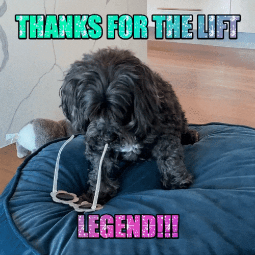 You Pick Me Up Thank You GIF