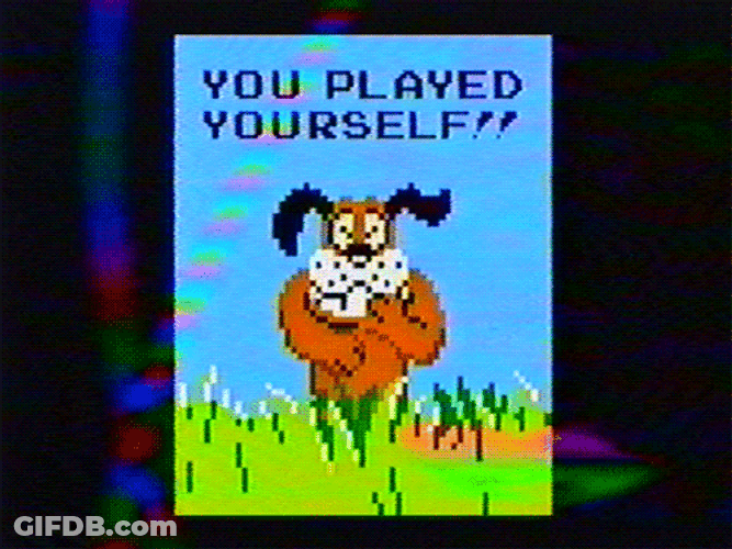 You Played Yourself Duck Hunt GIF