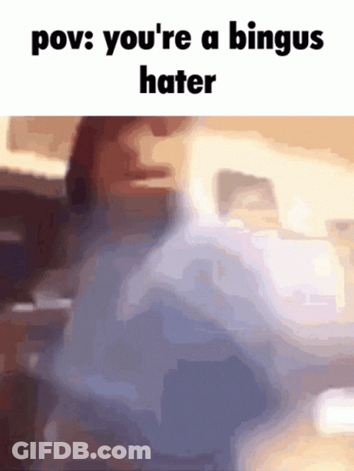 You're A Bingus Hater GIF