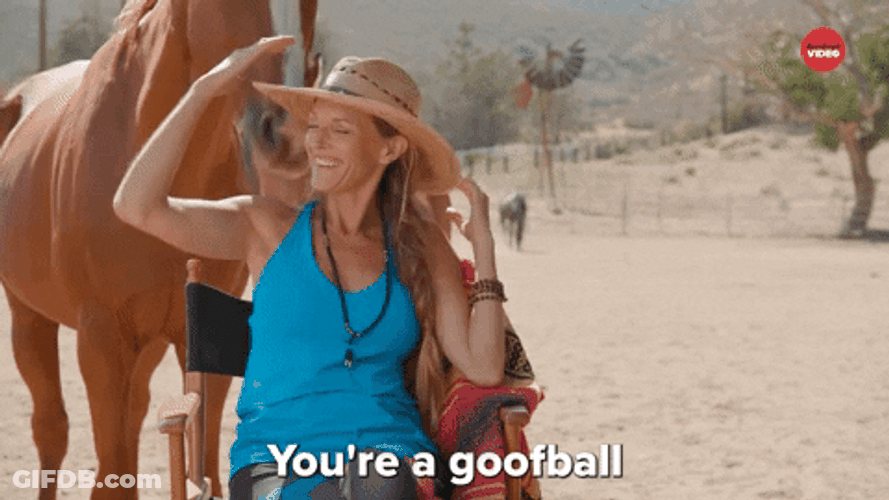 You're A Goofball Pommel Horse GIF