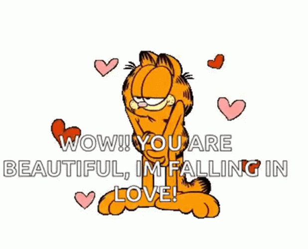 You Re Beautiful Cartoon Garfield GIF