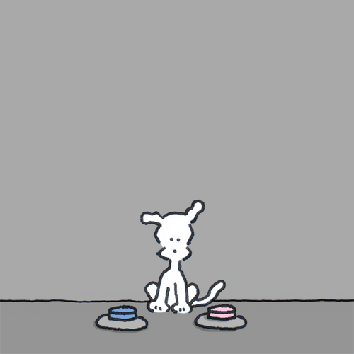 You Re Beautiful Chippy The Dog GIF